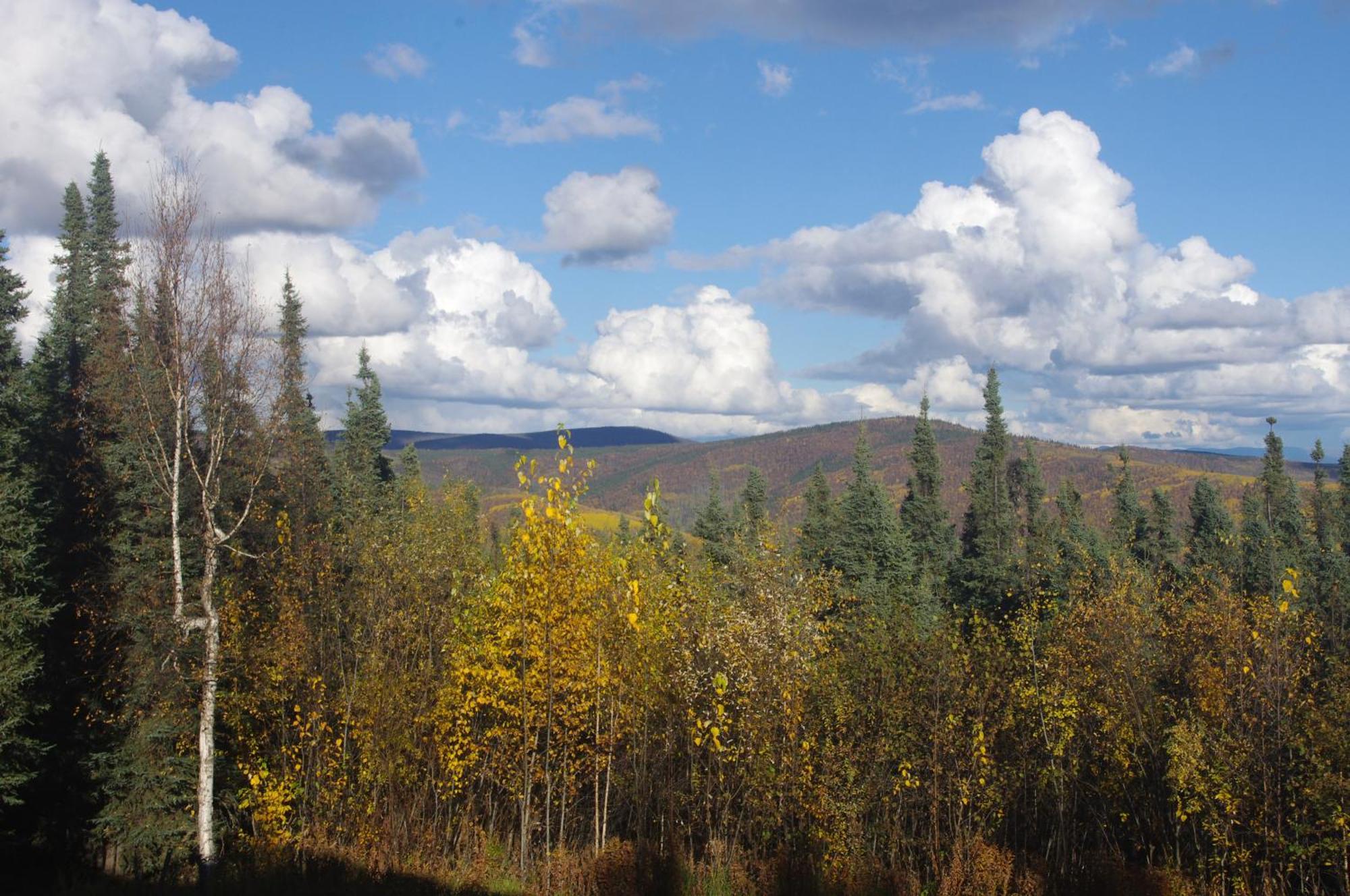 Aurora Viewing Deck And Peaceful Retreat Apartment Fairbanks Luaran gambar